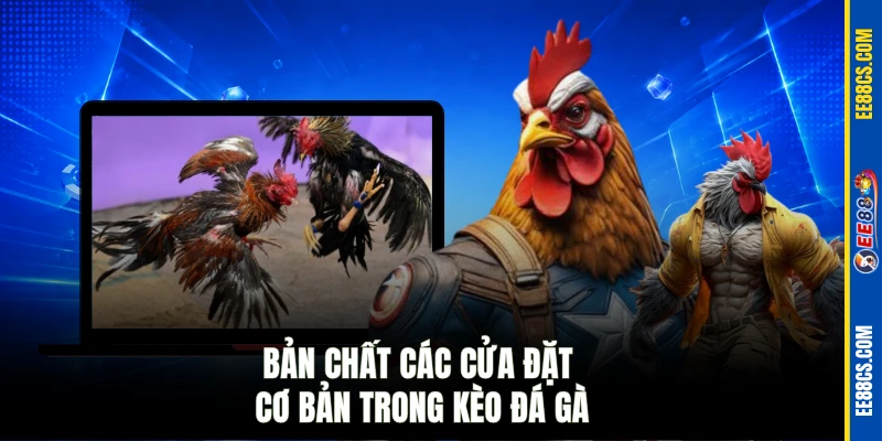 Bản chất các cửa đặt cơ bản trong kèo đá gà