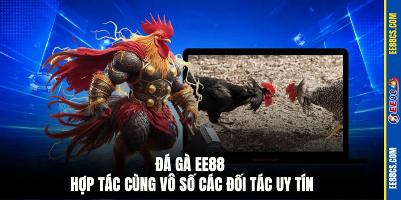 Đá gà EE88 hợp tác cùng vô số các đối tác uy tín