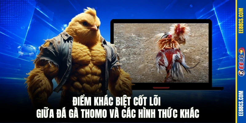 Điểm khác biệt cốt lõi giữa đá gà Thomo và các hình thức khác