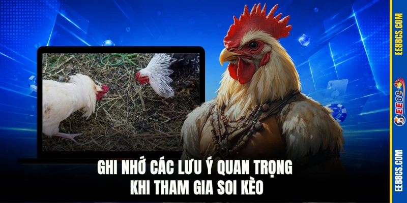 Ghi nhớ các lưu ý quan trọng khi tham gia soi kèo