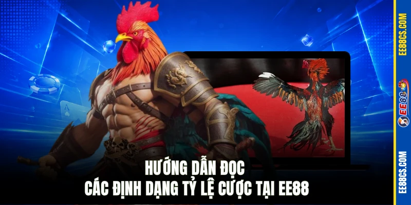 Hướng dẫn đọc các định dạng tỷ lệ cược tại EE88