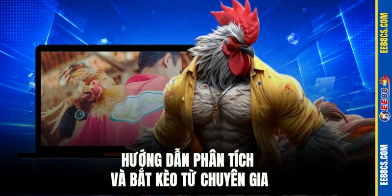 Hướng dẫn phân tích và bắt kèo từ chuyên gia