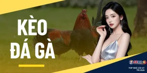 Kèo Đá Gà