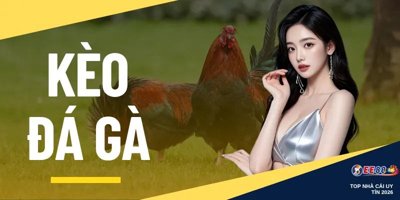 Kèo Đá Gà