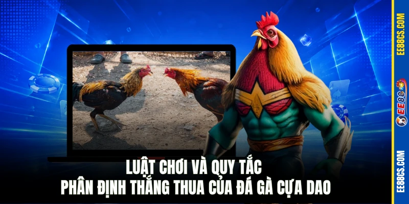 Luật chơi và quy tắc phân định thắng thua của đá gà cựa dao