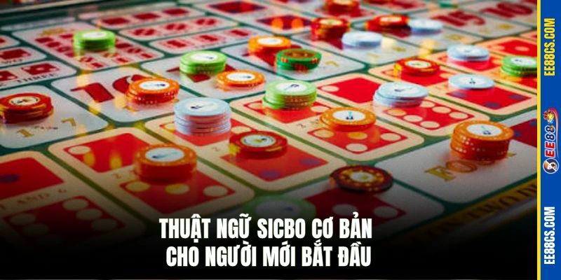 Thuật ngữ Sicbo cơ bản cho người mới bắt đầu