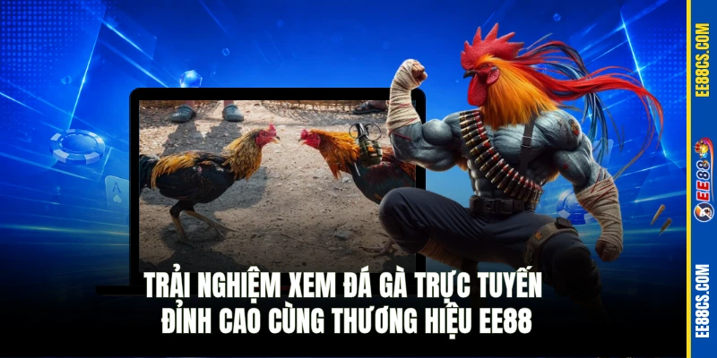 Trải nghiệm xem đá gà trực tuyến đỉnh cao cùng thương hiệu EE88