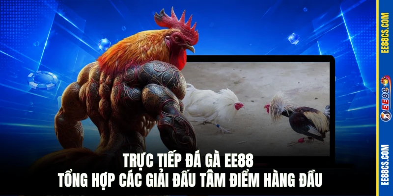 Trực tiếp đá gà EE88 tổng hợp các giải đấu tâm điểm hàng đầu
